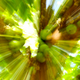Illustration for article titled Zoom Photo Challenge Gallery 2